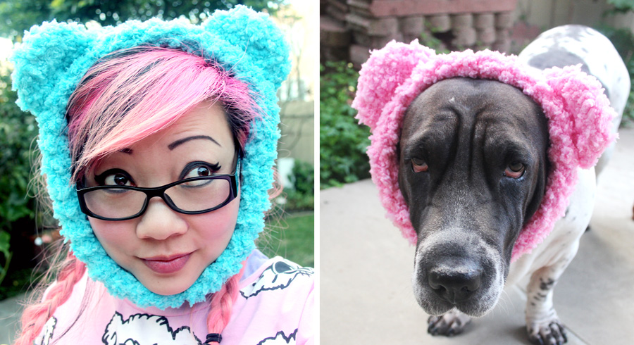 Crochet bear 2025 hat for dogs